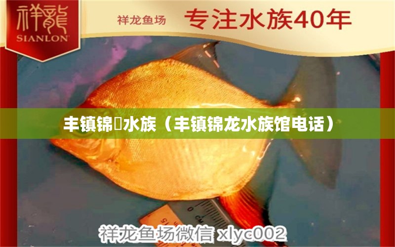 丰镇锦龍水族（丰镇锦龙水族馆电话） 全国水族馆企业名录