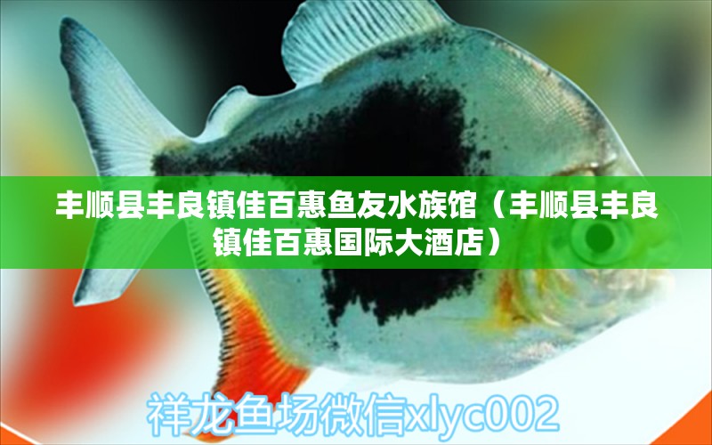 丰顺县丰良镇佳百惠鱼友水族馆（丰顺县丰良镇佳百惠国际大酒店） 全国水族馆企业名录