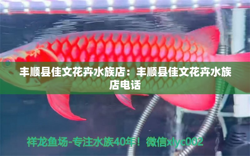 丰顺县佳文花卉水族店：丰顺县佳文花卉水族店电话