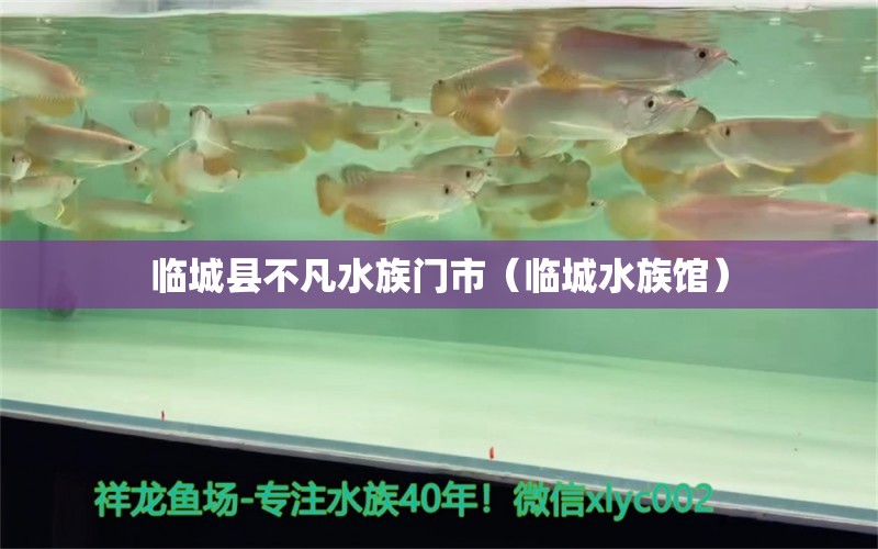 临城县不凡水族门市（临城水族馆） 全国水族馆企业名录