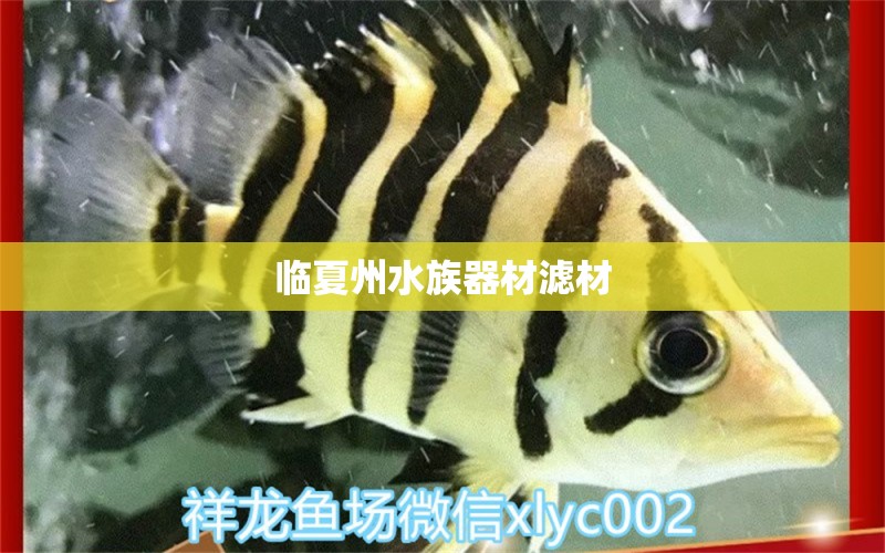 临夏州水族器材滤材 水族问答 第1张