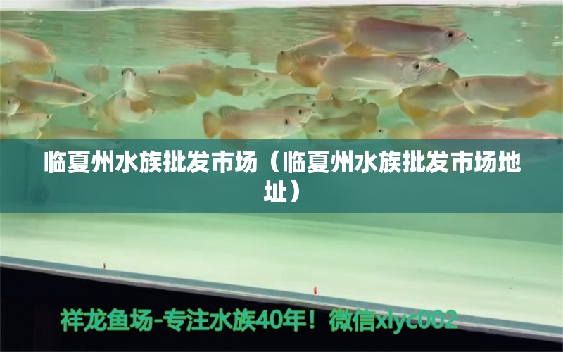 临夏州水族批发市场（临夏州水族批发市场地址）