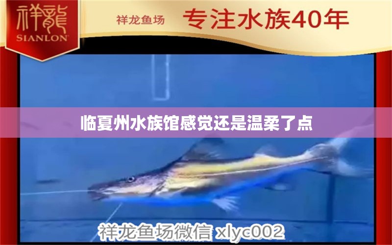 临夏州水族馆感觉还是温柔了点