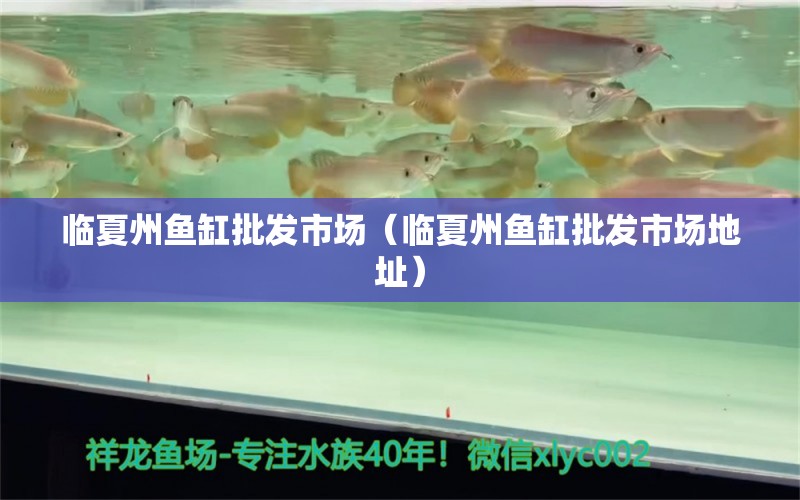 临夏州鱼缸批发市场（临夏州鱼缸批发市场地址） 观赏鱼水族批发市场