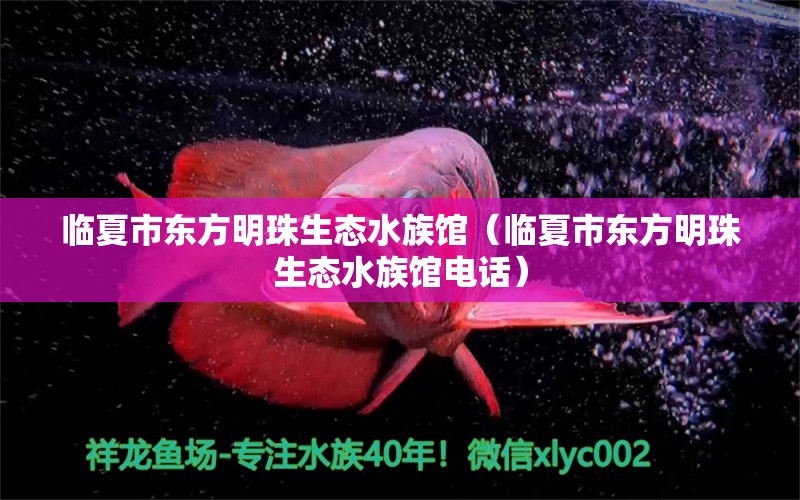 临夏市东方明珠生态水族馆（临夏市东方明珠生态水族馆电话） 全国水族馆企业名录