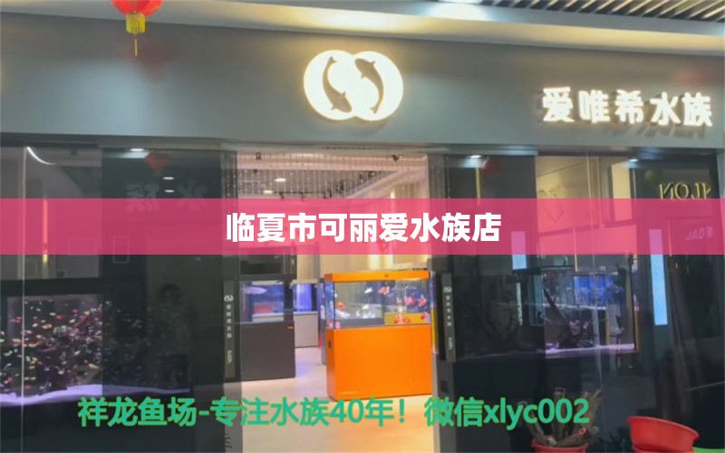 临夏市可丽爱水族店