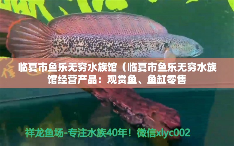 临夏市鱼乐无穷水族馆（临夏市鱼乐无穷水族馆经营产品：观赏鱼、鱼缸零售 全国观赏鱼市场 第2张