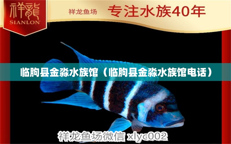 临朐县金淼水族馆（临朐县金淼水族馆电话） 全国水族馆企业名录