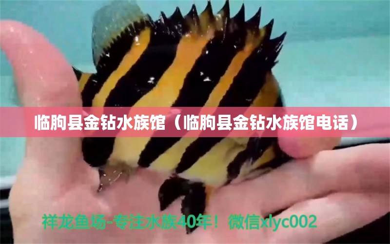 临朐县金钻水族馆（临朐县金钻水族馆电话） 全国水族馆企业名录