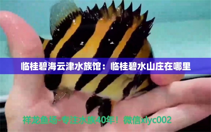 临桂碧海云津水族馆：临桂碧水山庄在哪里