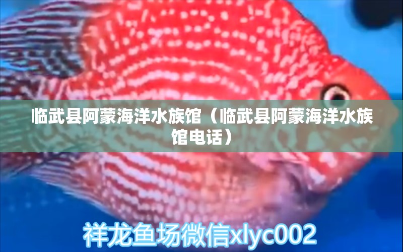 临武县阿蒙海洋水族馆（临武县阿蒙海洋水族馆电话）