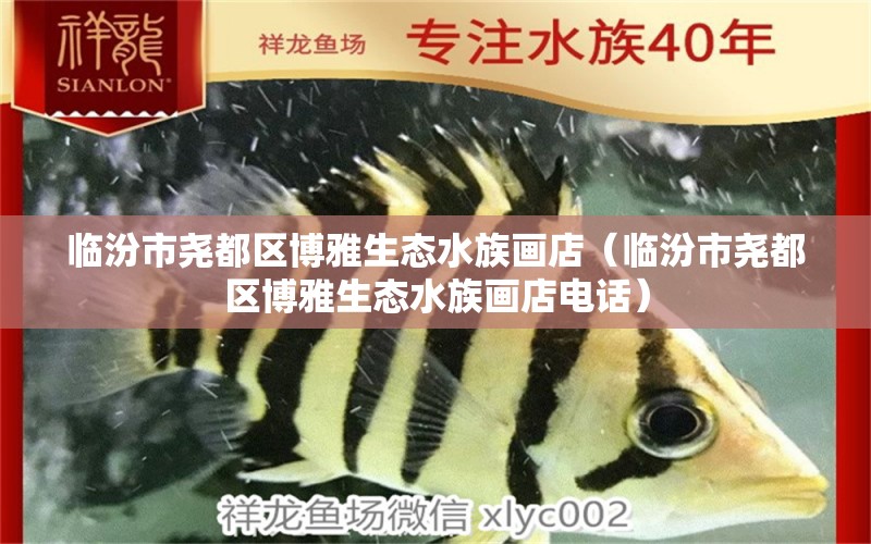 临汾市尧都区博雅生态水族画店（临汾市尧都区博雅生态水族画店电话）