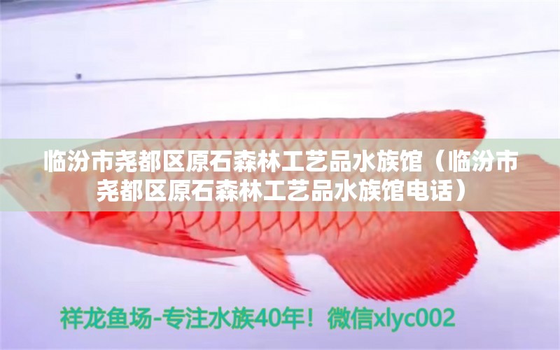 临汾市尧都区原石森林工艺品水族馆（临汾市尧都区原石森林工艺品水族馆电话）