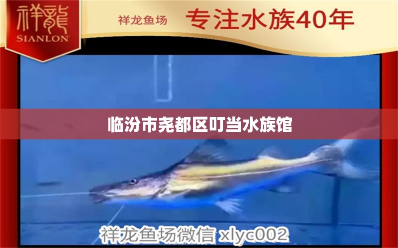 临汾市尧都区叮当水族馆 全国水族馆企业名录