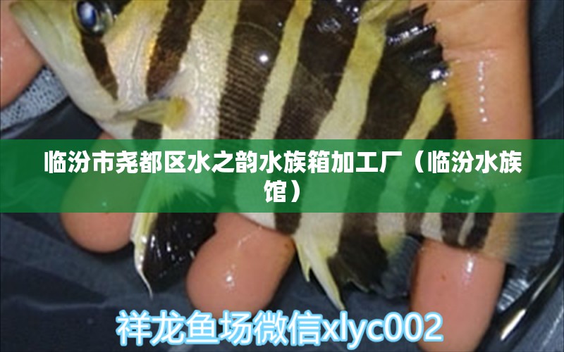 临汾市尧都区水之韵水族箱加工厂（临汾水族馆）