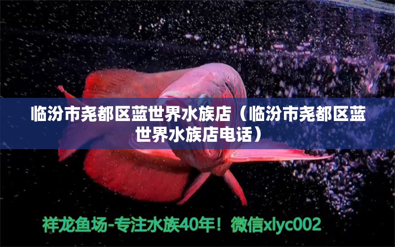 临汾市尧都区蓝世界水族店（临汾市尧都区蓝世界水族店电话） 全国水族馆企业名录