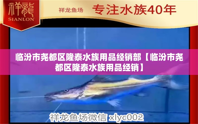 临汾市尧都区隆泰水族用品经销部【临汾市尧都区隆泰水族用品经销】 全国观赏鱼市场 第2张