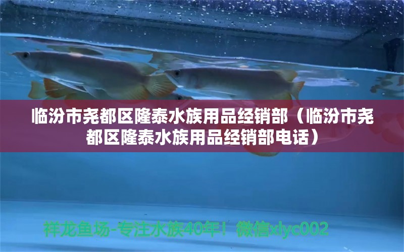 临汾市尧都区隆泰水族用品经销部（临汾市尧都区隆泰水族用品经销部电话）