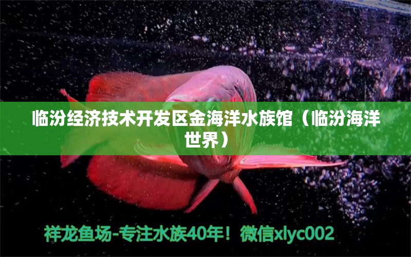 临汾经济技术开发区金海洋水族馆（临汾海洋世界）