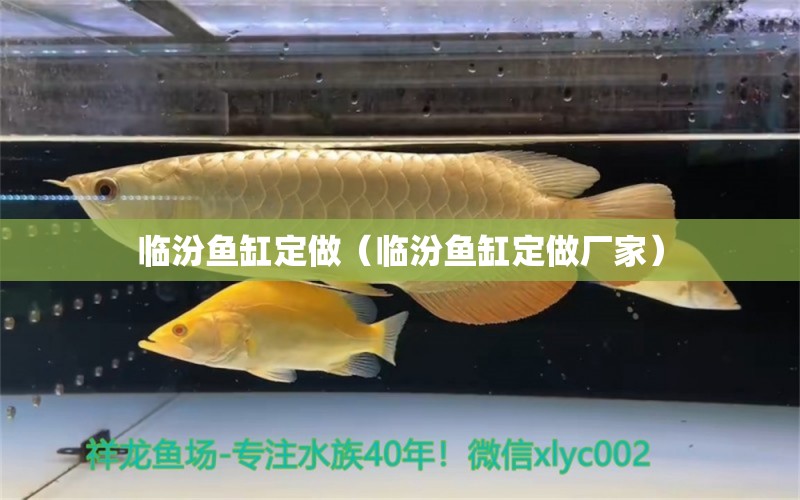 临汾鱼缸定做（临汾鱼缸定做厂家） 祥龙水族医院