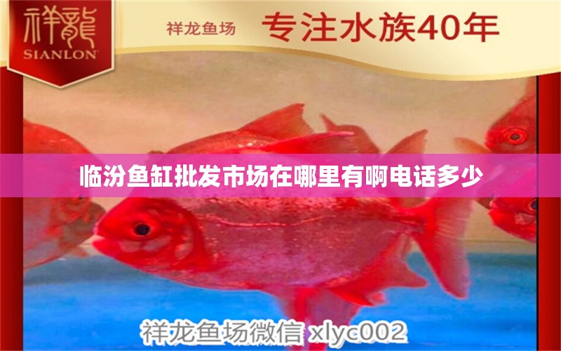 临汾鱼缸批发市场在哪里有啊电话多少 水族问答 第1张