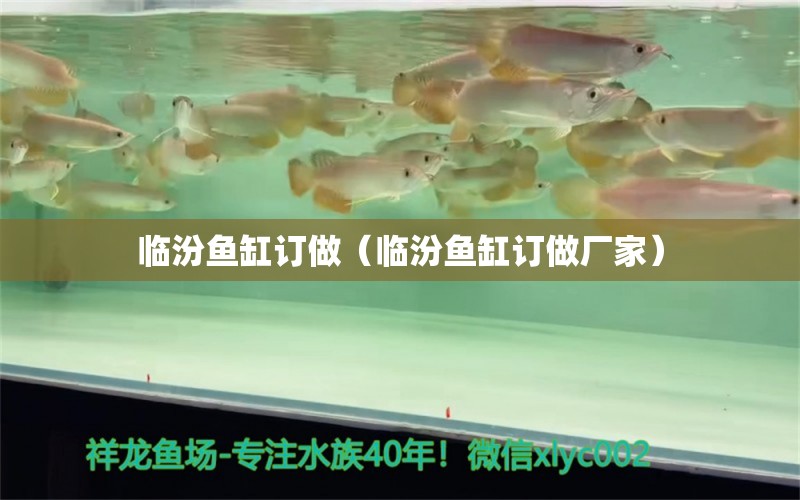 临汾鱼缸订做（临汾鱼缸订做厂家）