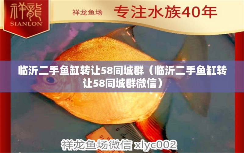 临沂二手鱼缸转让58同城群（临沂二手鱼缸转让58同城群微信） 祥龙水族医院