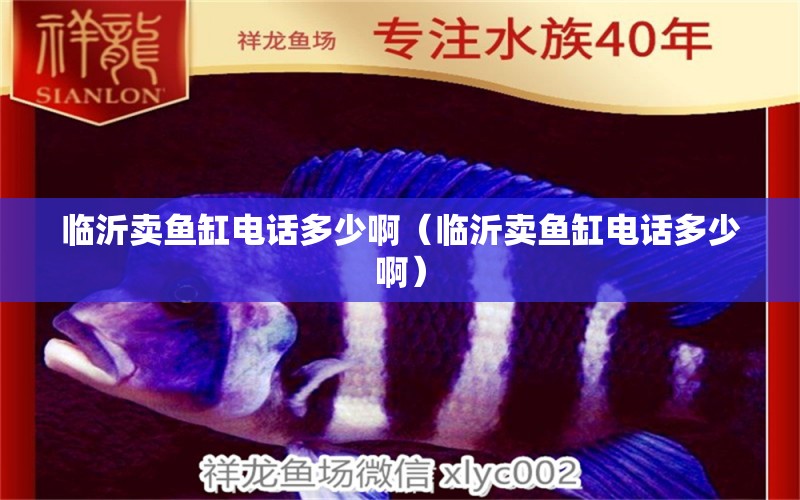 临沂卖鱼缸电话多少啊（临沂卖鱼缸电话多少啊） 祥龙水族医院