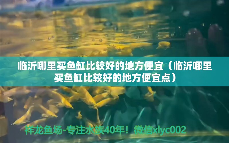 临沂哪里买鱼缸比较好的地方便宜（临沂哪里买鱼缸比较好的地方便宜点） 观赏鱼市场（混养鱼）