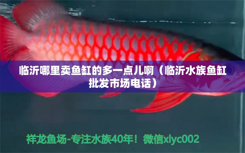 临沂哪里卖鱼缸的多一点儿啊（临沂水族鱼缸批发市场电话）