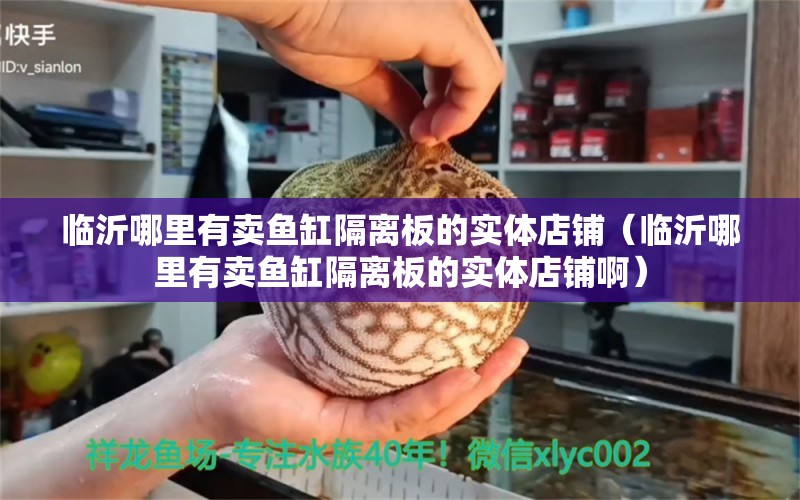 临沂哪里有卖鱼缸隔离板的实体店铺（临沂哪里有卖鱼缸隔离板的实体店铺啊）