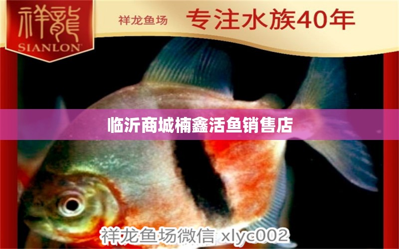 临沂商城楠鑫活鱼销售店 全国水族馆企业名录