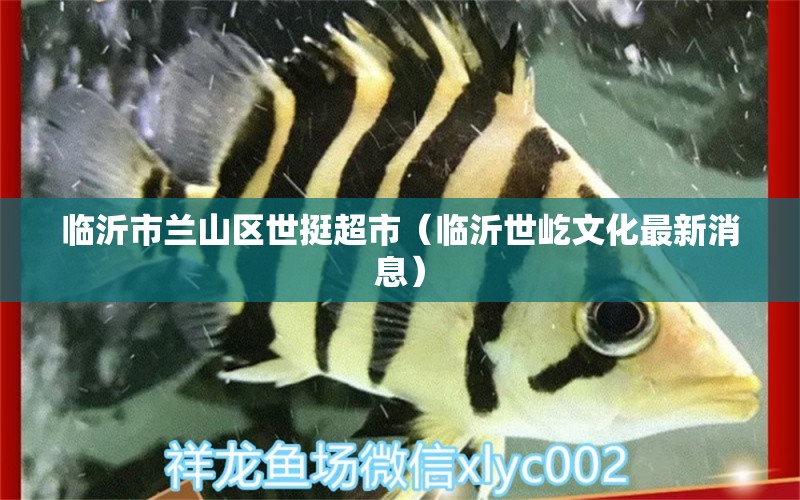 临沂市兰山区世挺超市（临沂世屹文化最新消息） 全国水族馆企业名录