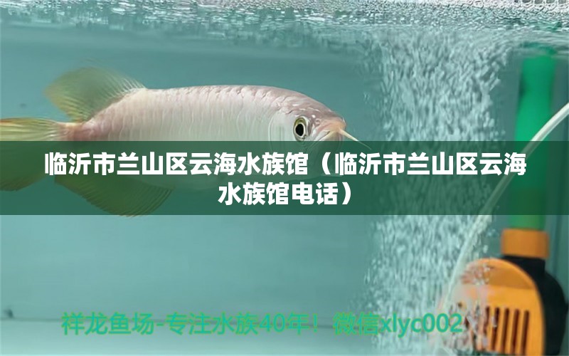 临沂市兰山区云海水族馆（临沂市兰山区云海水族馆电话） 全国水族馆企业名录