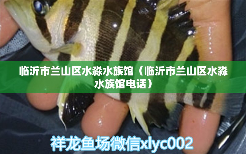 临沂市兰山区水淼水族馆（临沂市兰山区水淼水族馆电话） 全国水族馆企业名录