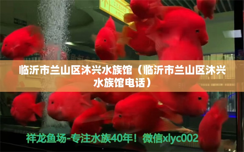 临沂市兰山区沐兴水族馆（临沂市兰山区沐兴水族馆电话） 全国水族馆企业名录