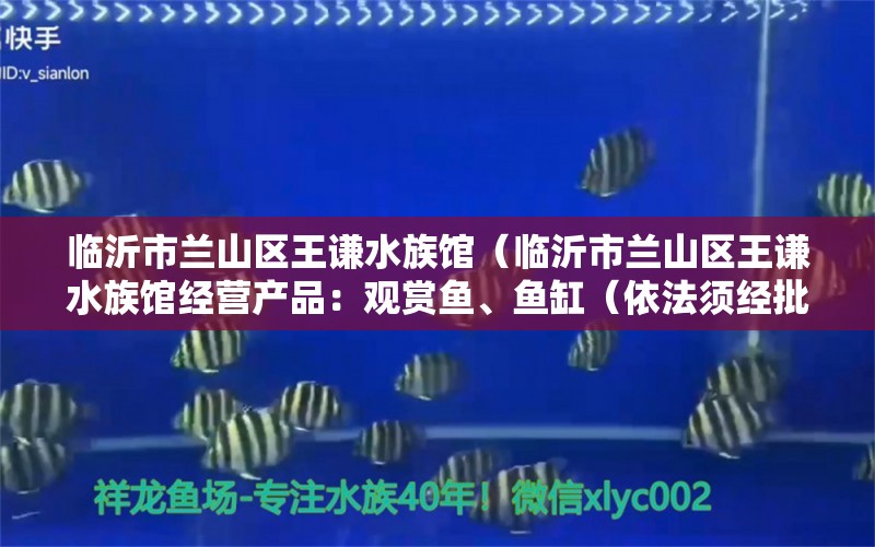 临沂市兰山区王谦水族馆（临沂市兰山区王谦水族馆经营产品：观赏鱼、鱼缸（依法须经批准的项目）） 全国观赏鱼市场 第2张