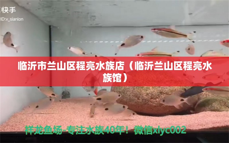 临沂市兰山区程亮水族店（临沂兰山区程亮水族馆） 全国观赏鱼市场 第2张