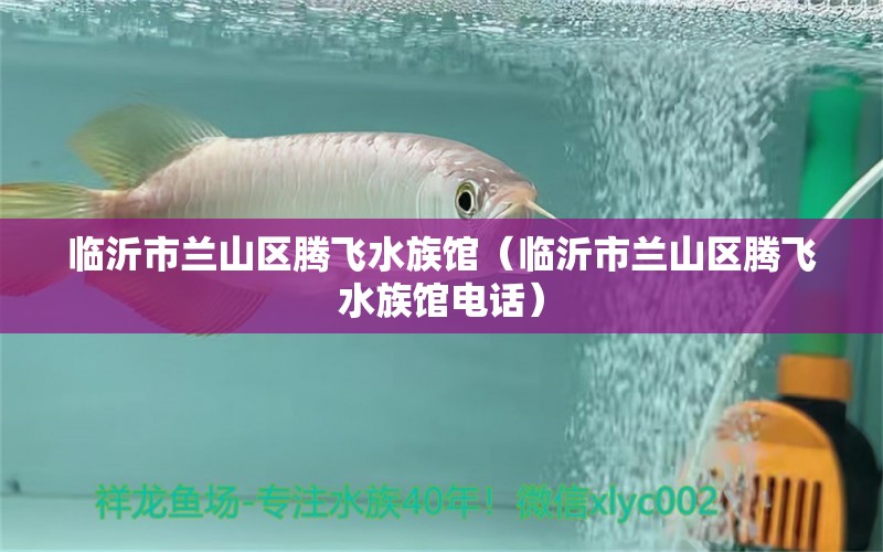 临沂市兰山区腾飞水族馆（临沂市兰山区腾飞水族馆电话） 全国水族馆企业名录