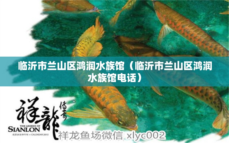 临沂市兰山区鸿润水族馆（临沂市兰山区鸿润水族馆电话）