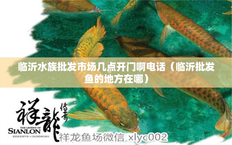 临沂水族批发市场几点开门啊电话（临沂批发鱼的地方在哪）