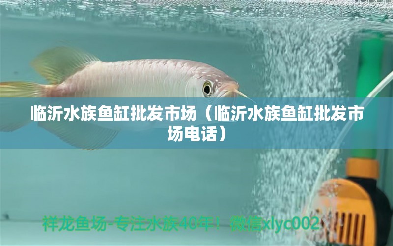 临沂水族鱼缸批发市场（临沂水族鱼缸批发市场电话） PH调节剂