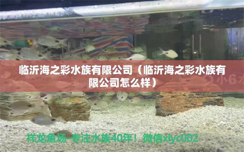 临沂海之彩水族有限公司（临沂海之彩水族有限公司怎么样） 全国水族馆企业名录