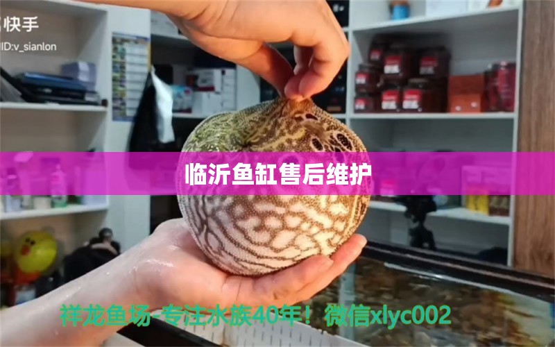 临沂鱼缸售后维护