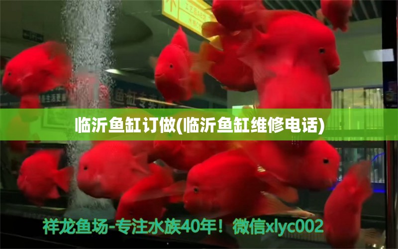 临沂鱼缸订做(临沂鱼缸维修电话)