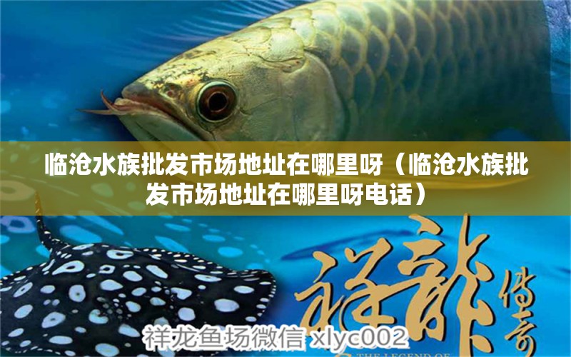 临沧水族批发市场地址在哪里呀（临沧水族批发市场地址在哪里呀电话） 观赏鱼水族批发市场