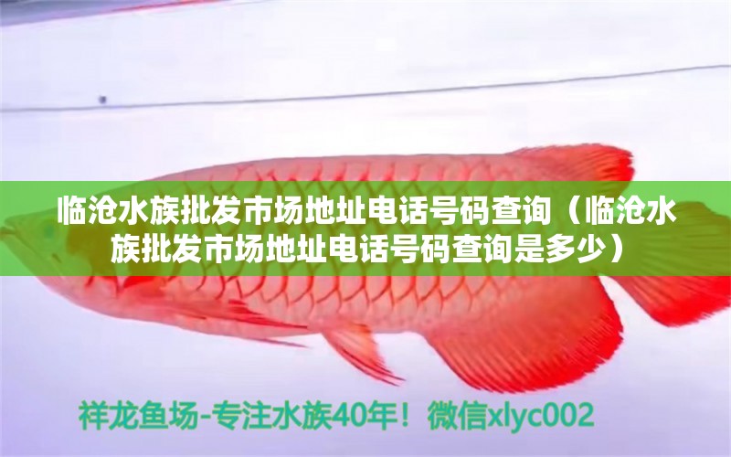 临沧水族批发市场地址电话号码查询（临沧水族批发市场地址电话号码查询是多少）