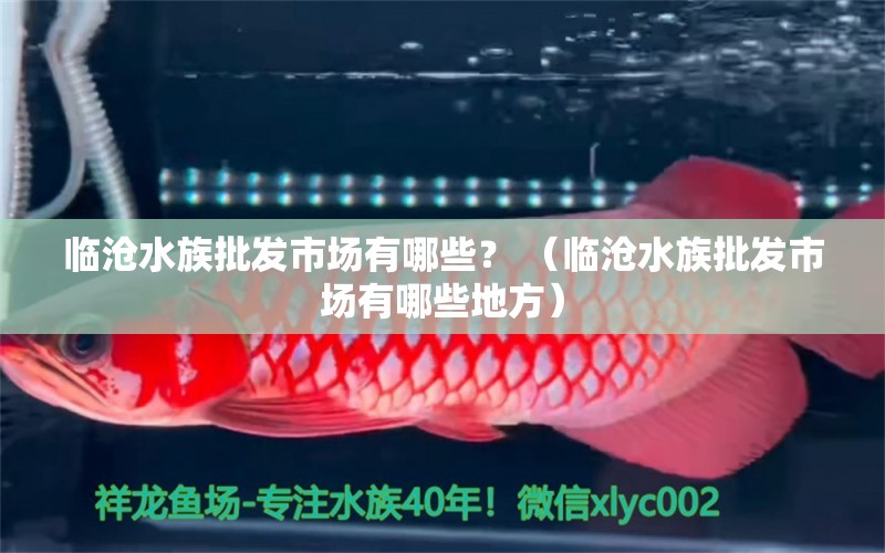 临沧水族批发市场有哪些？ （临沧水族批发市场有哪些地方）