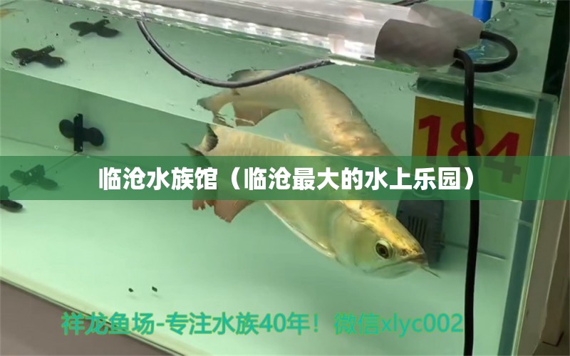 临沧水族馆（临沧最大的水上乐园） 祥龙水族医院