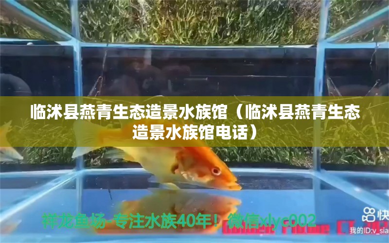 临沭县燕青生态造景水族馆（临沭县燕青生态造景水族馆电话）